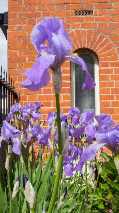 Botanic View B&B Dublin Exterior photo